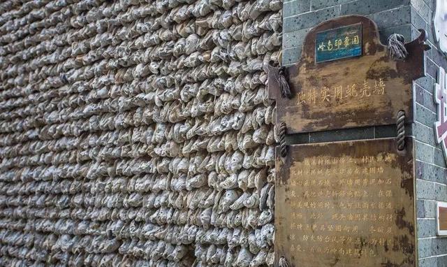 生蚝建的房子绝对堪称为"豪宅" 密集恐惧症者请离开