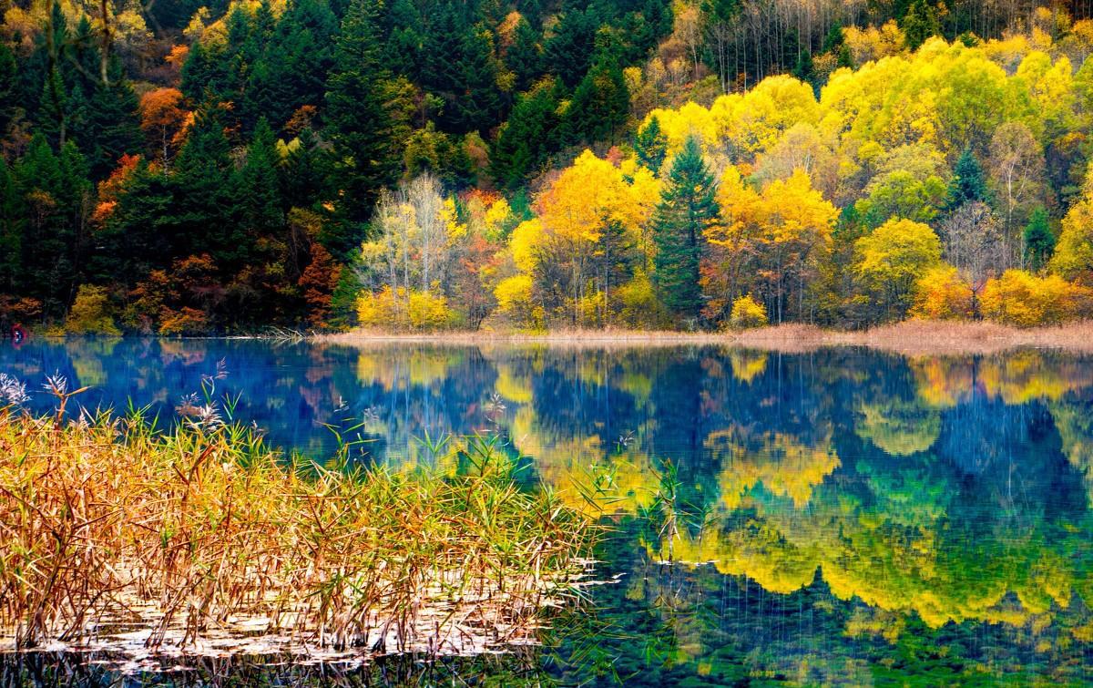 九寨沟补妆完毕来看看震后第一个秋天有多唯美