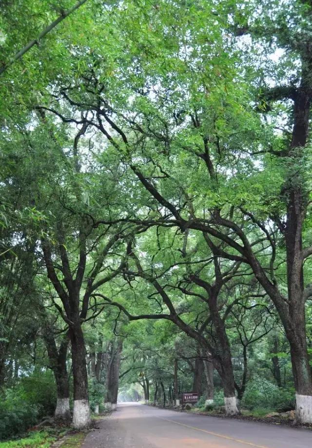 广东省内藏了个“岭南九寨沟”