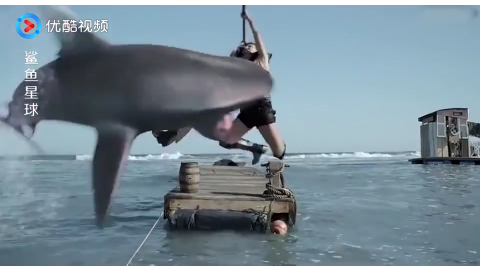 美女连续捕获好几条鲨鱼,母鲨鱼被惹怒,直接一口把她咬下海