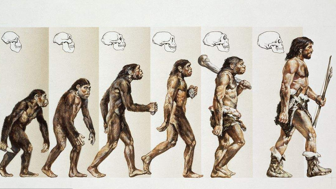 人类真的是猿人进化而来吗?人类诞生有这几个必要条件!