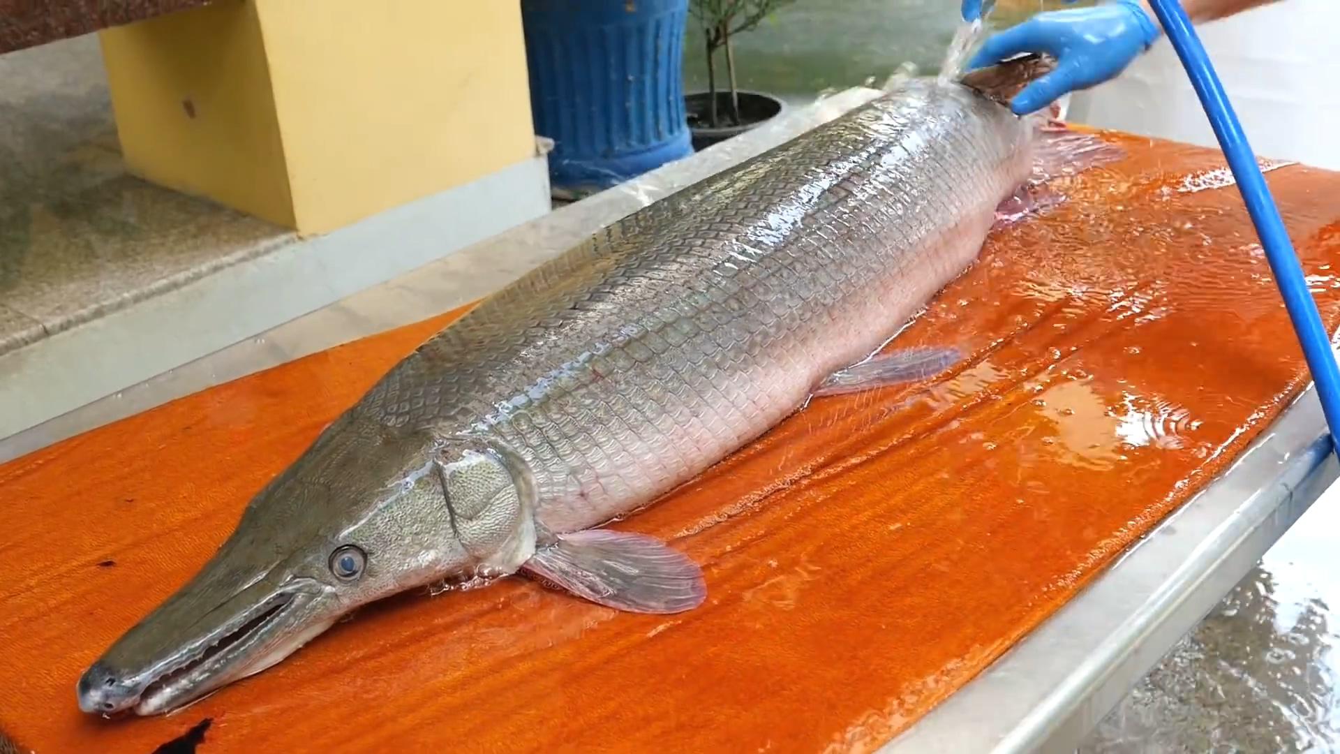 泰国小贩用锤头大菜刀处理鳄雀鳝,鱼肉处理后下锅做炸鱼饼!