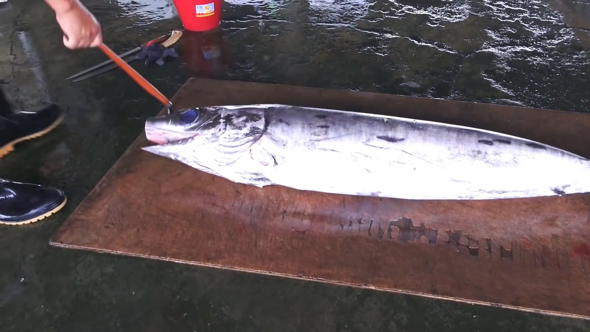 中国台湾渔民捕获巨型剑鱼,码头上快刀分割清洗后做刺身!