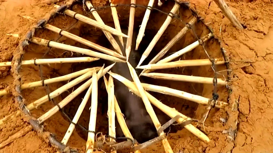 实拍农村三姐妹用树枝做简易陷阱捉鱼3小时后来收鱼