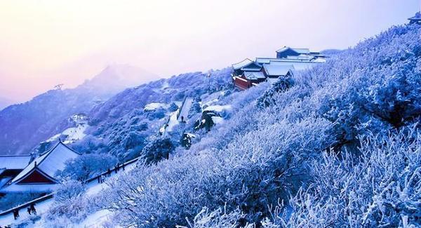 嵩山|云南|雪后_新浪新闻