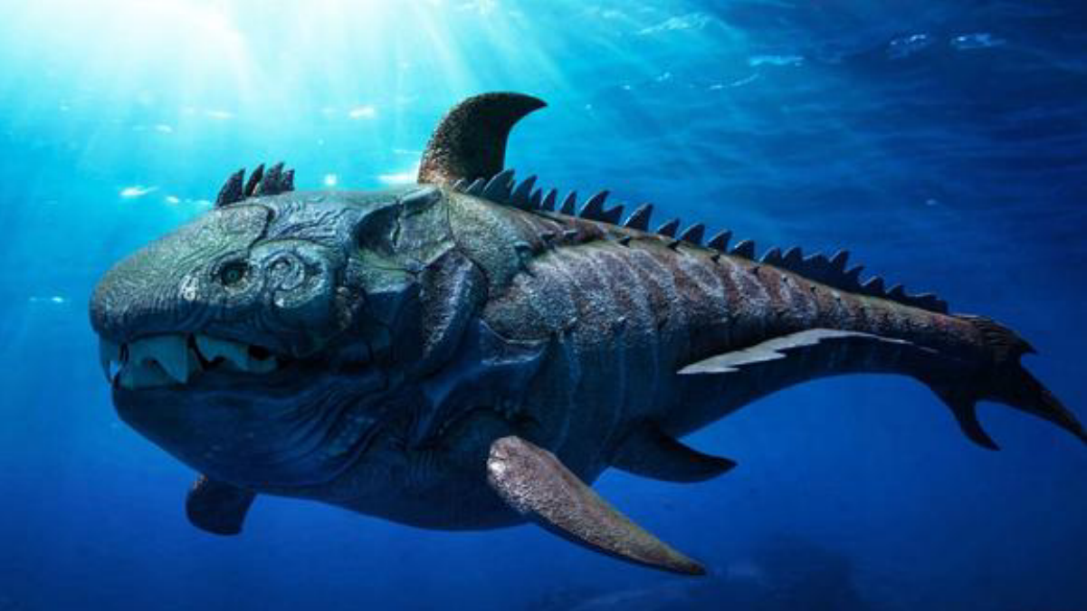 你的手不是手 是分叉的鱼鳍 基因 进化 提塔利克鱼 新浪科技 新浪网