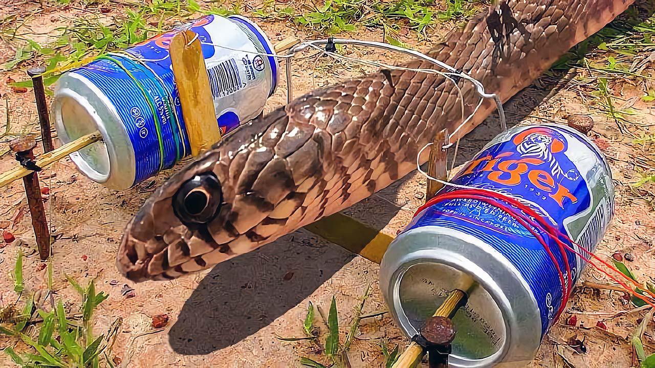 小伙用易拉罐制作一个捕猎陷阱看这效果很不错真聪明