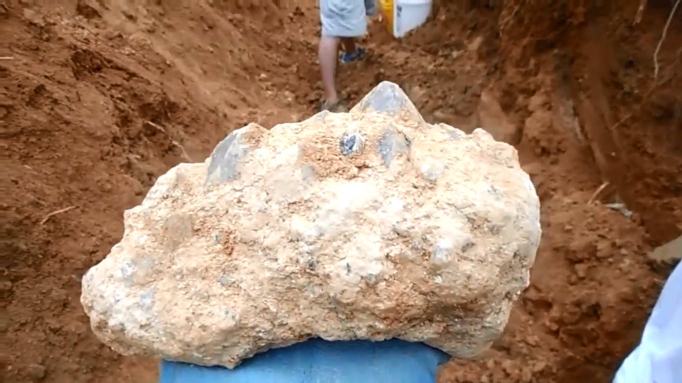 老外在树林中挖水晶,看到他们的收获,真是羡慕不已