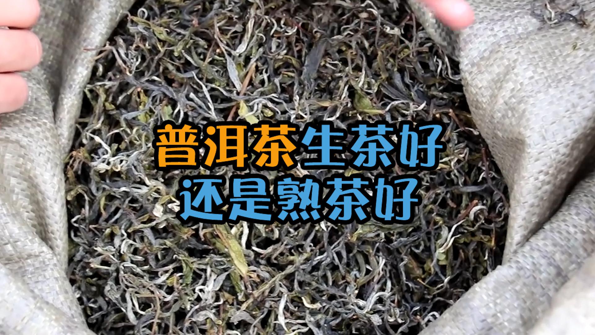 普洱茶生茶和熟茶相比哪个更好？它们有什么区别？