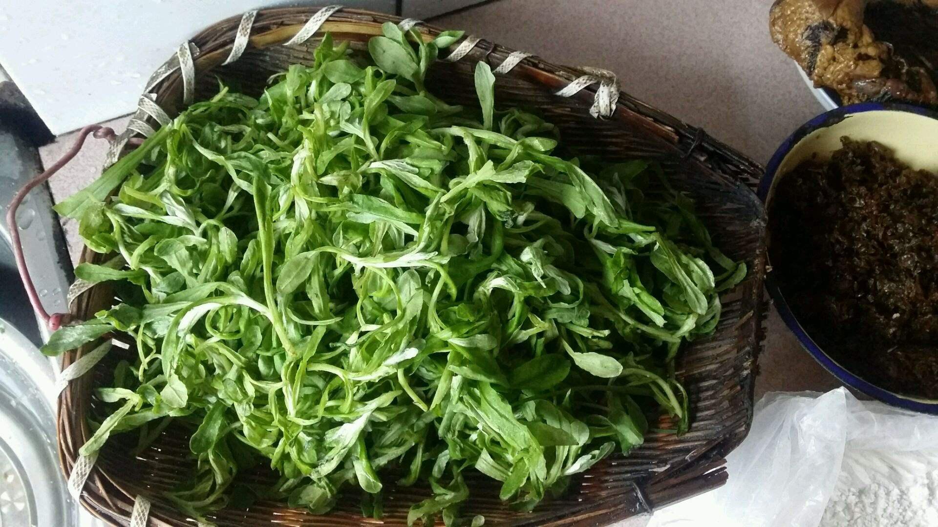 这种野菜被称为“草中燕窝”，出现在清明时节