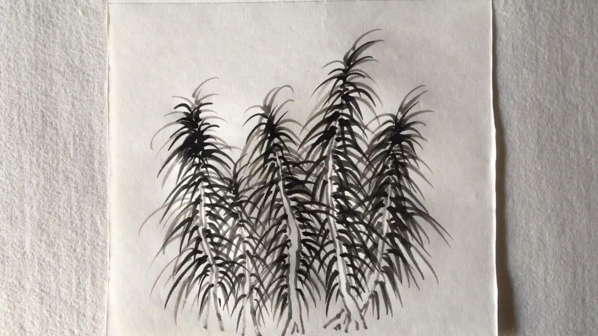 国画中景与远景经常用到的杉树画法示范