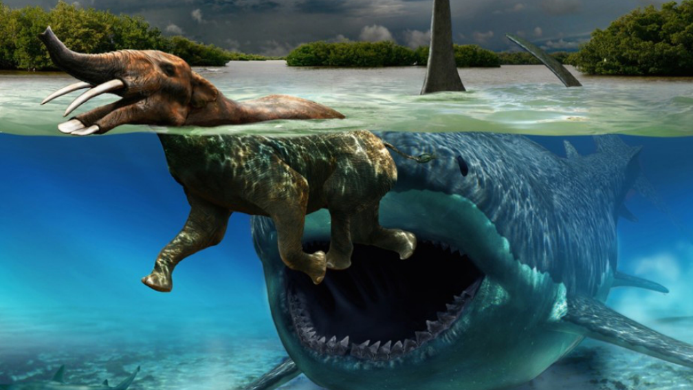 恐龙存在1亿多年就消失了,为什么鲨鱼却能存在5亿多年?