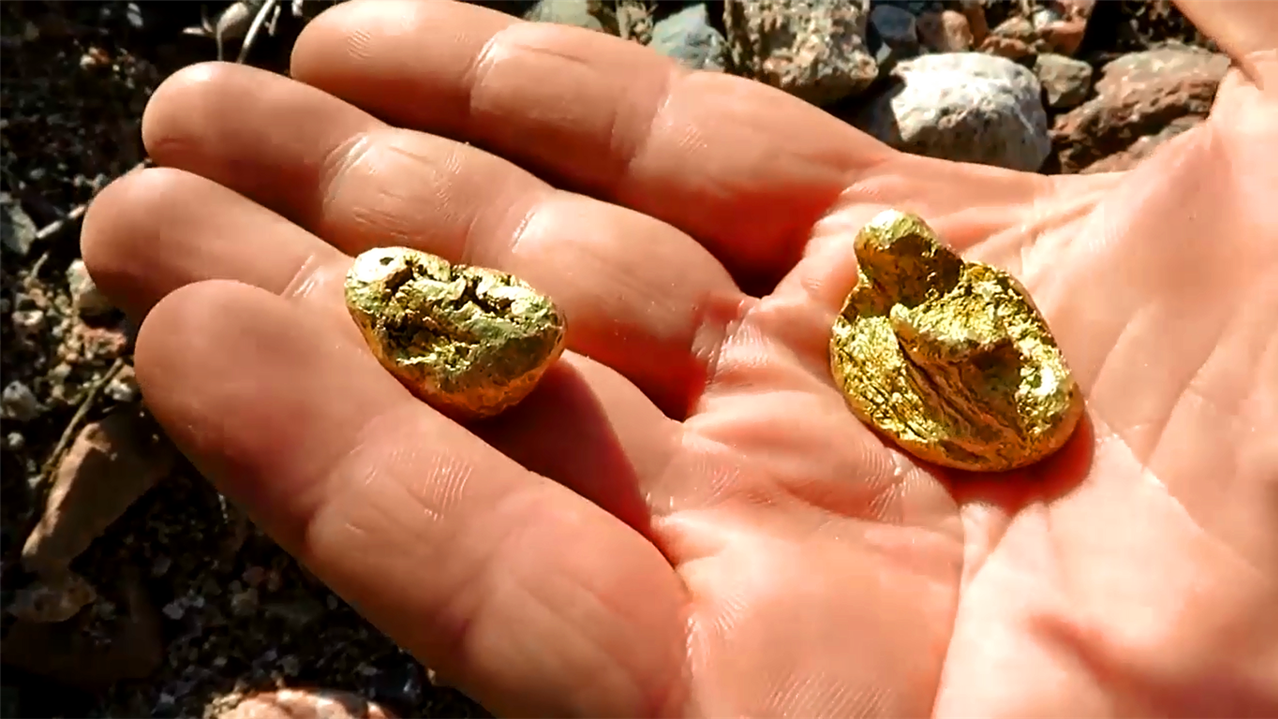 男子野外捡石头,看到地上很多好家伙,连忙捡了起来