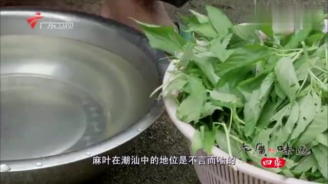 潮汕人爱吃麻叶，学会这样做，让你一样也爱上吃麻叶_新浪新闻