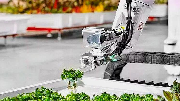 世界首款种菜机器人播种浇水除草都在行农民要下岗了