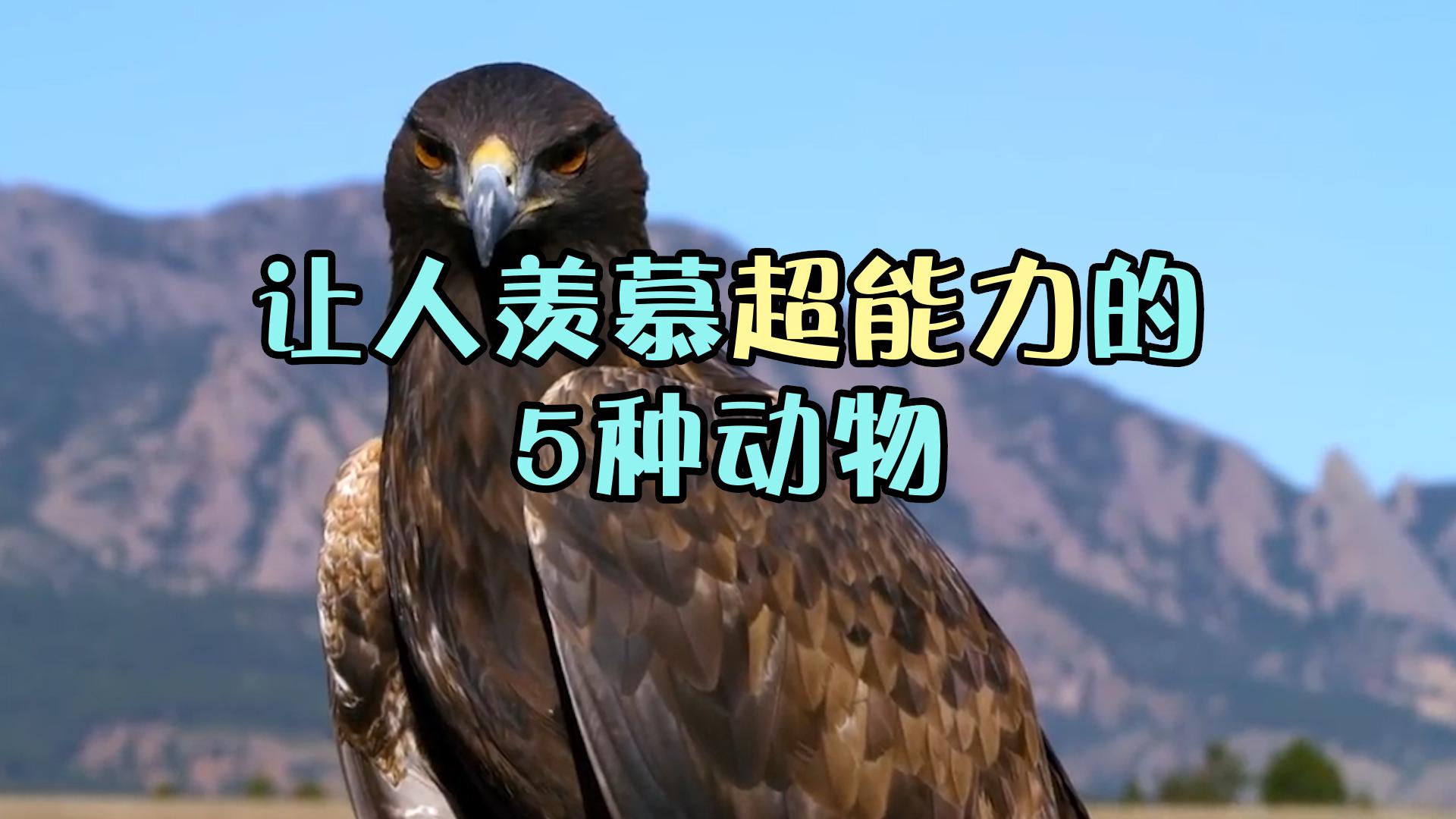 这5种拥有超能力的动物太厉害!屎壳郎上榜!