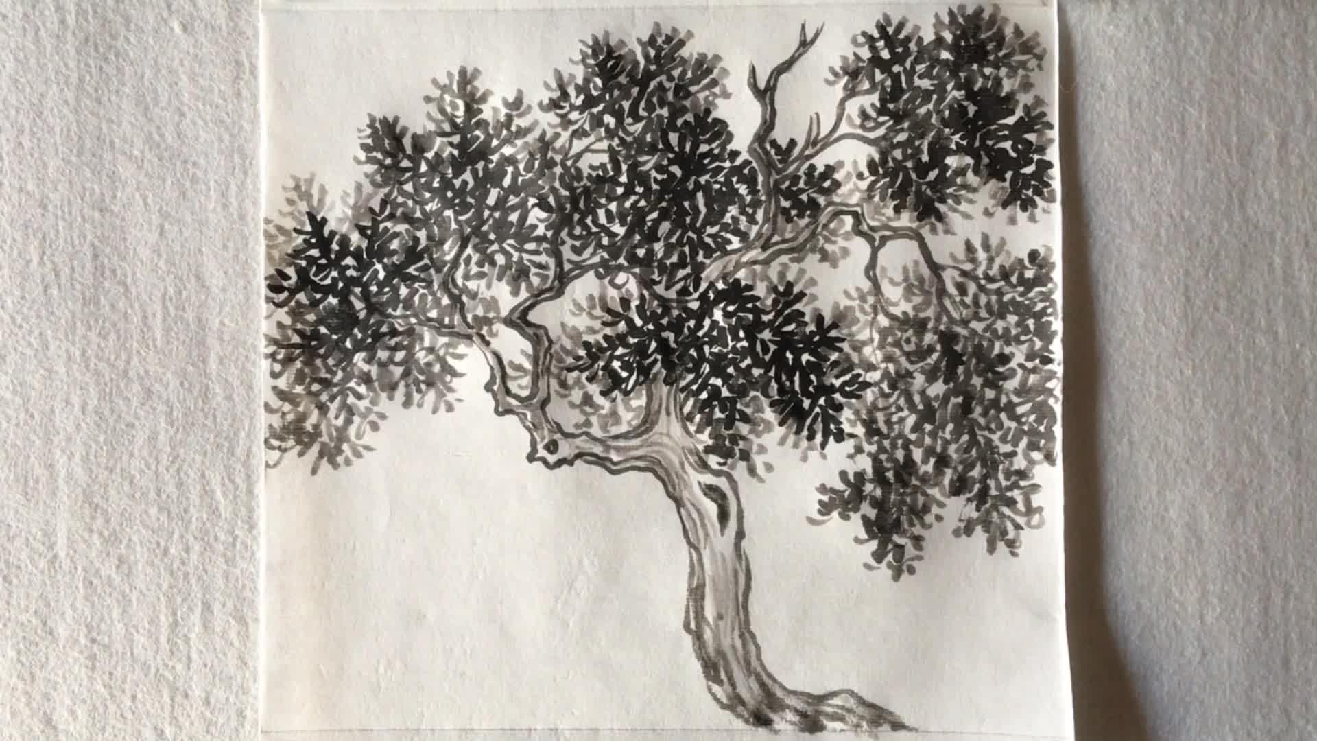 国画:槐树的画法步骤演示