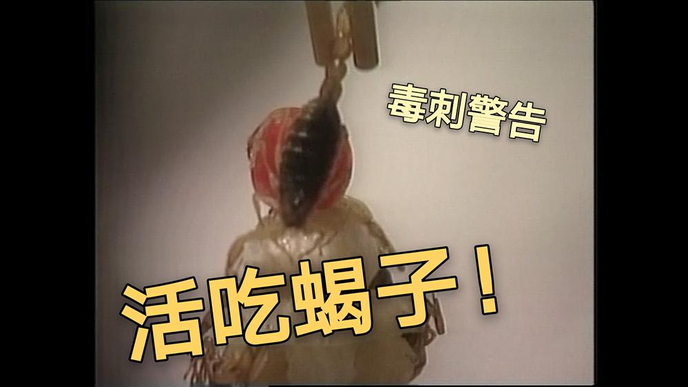 活吃蝎子!1999年中国特色昆虫餐厅 冒着剧毒也有人吃