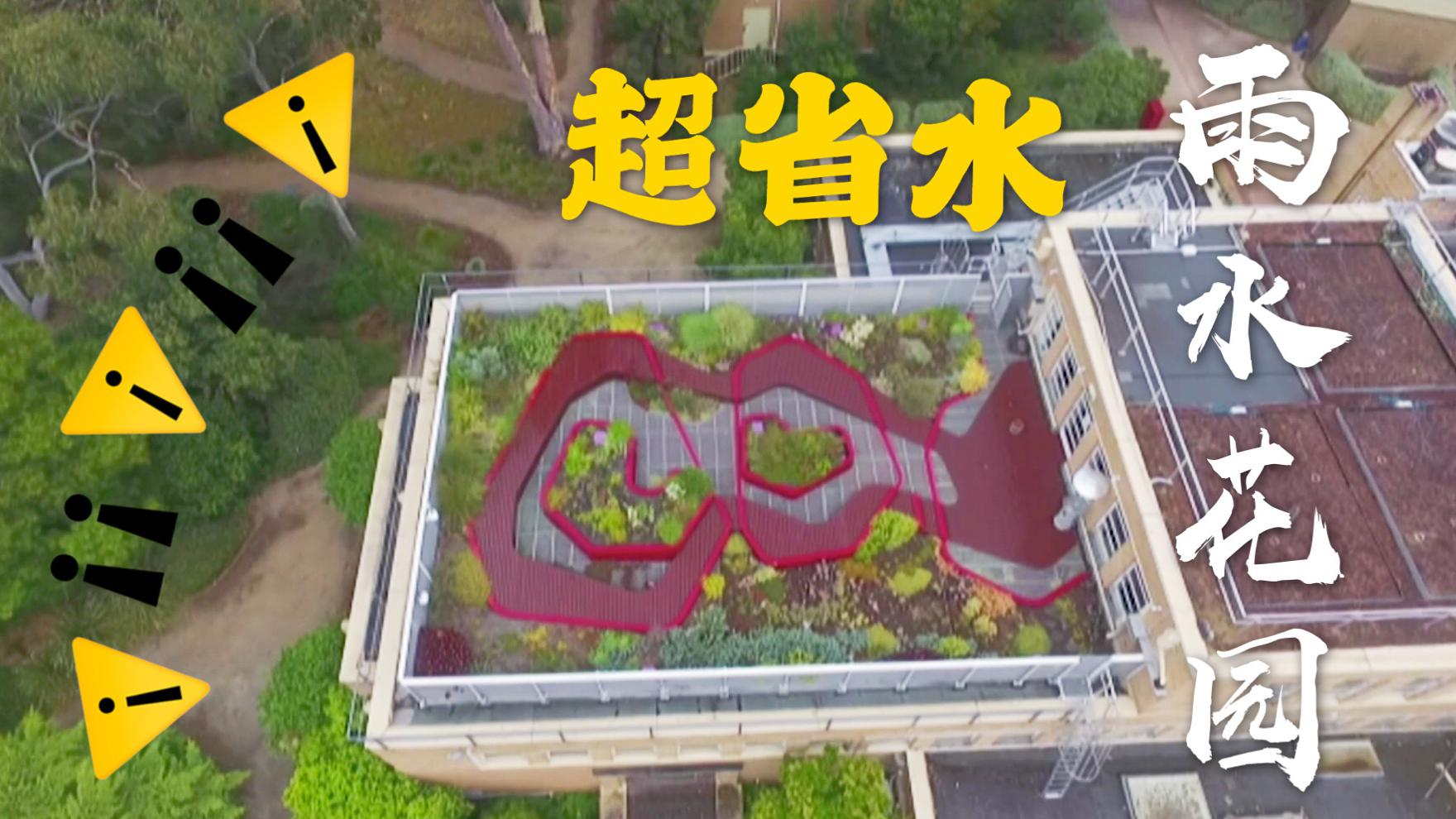 专治极端天气!澳大利亚屋顶花园收集雨水 再也不用交水费了__财经头条