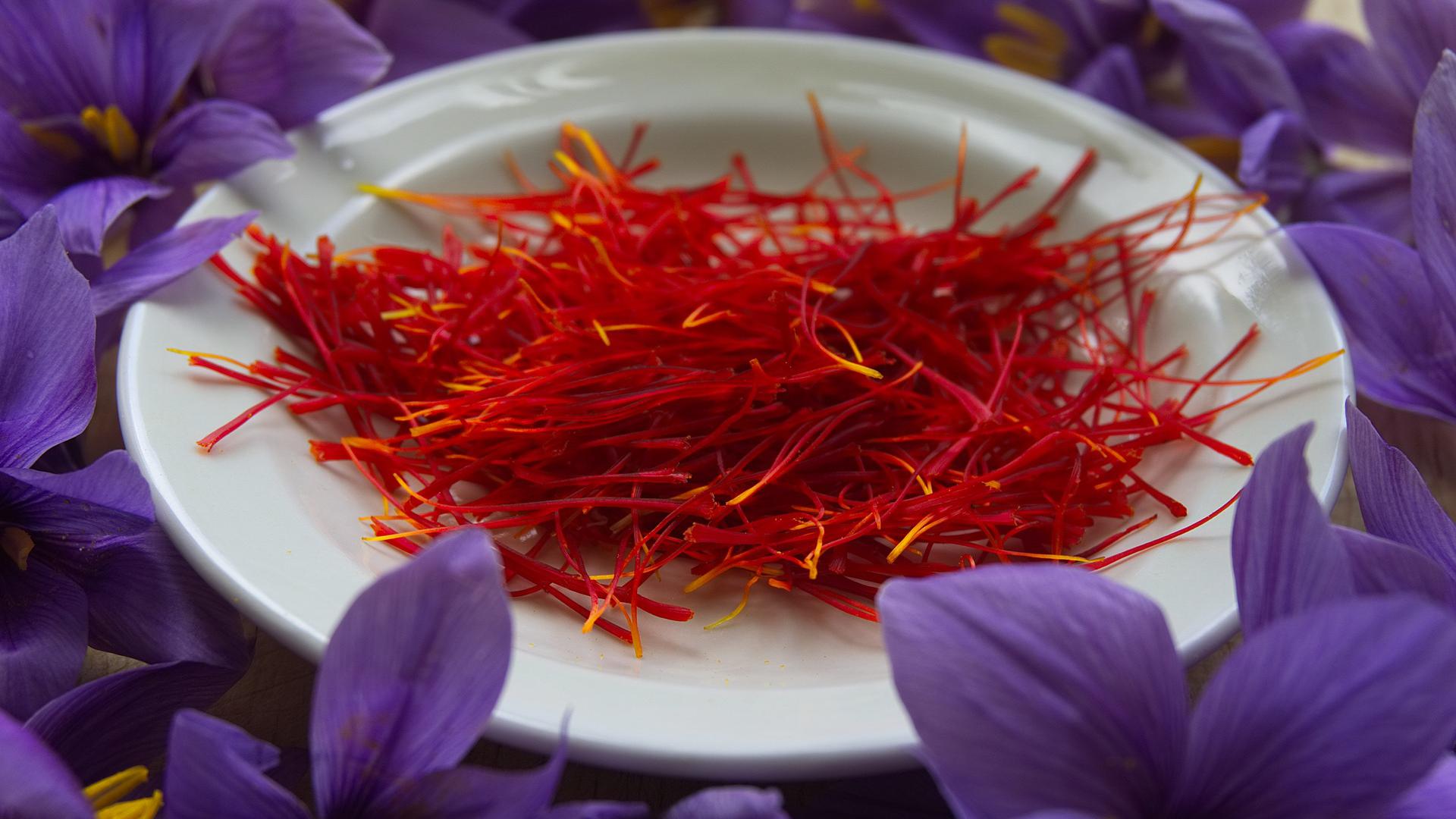 藏红花是什么 新浪网