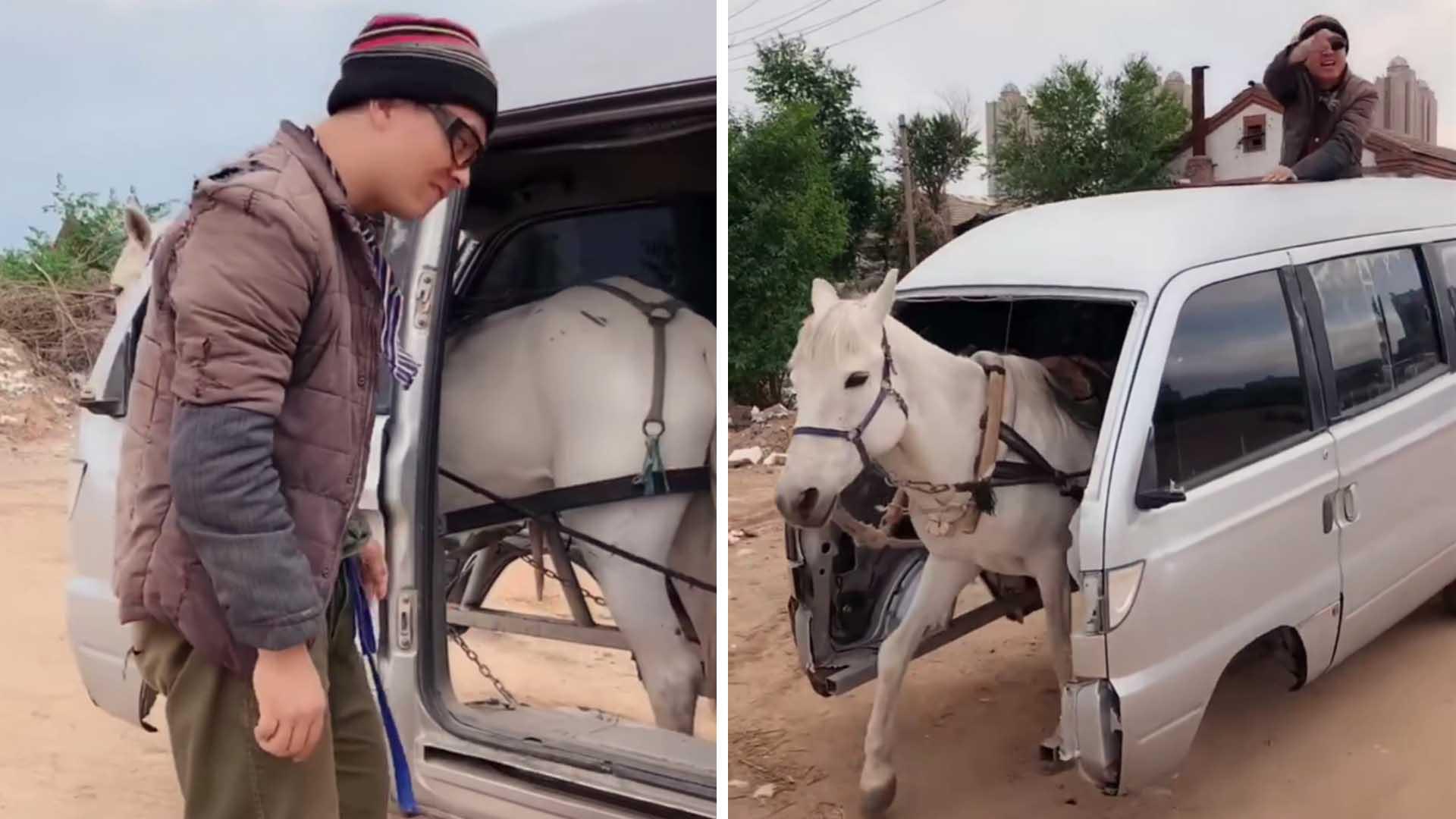 辽宁小伙发明马拉面包神车,恶搞发明带团队年入百万元