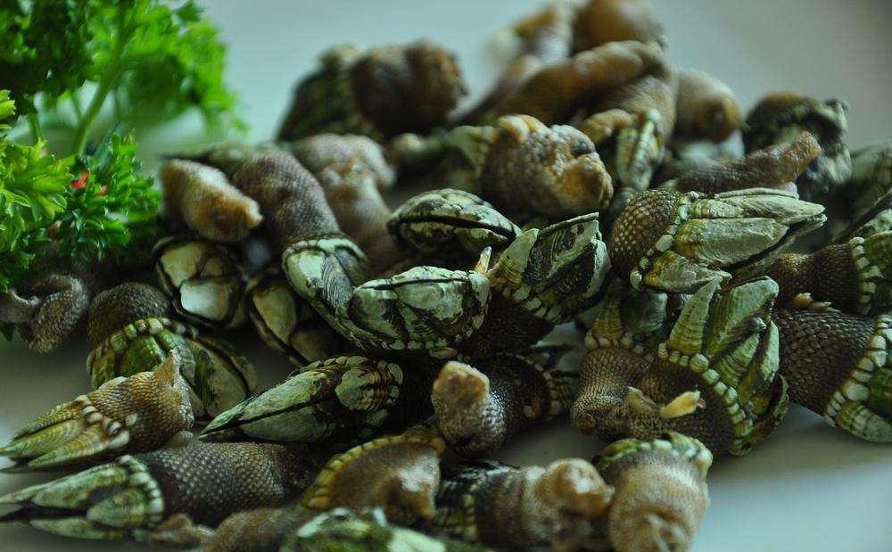 当地人叫笔架的贝壳类海鲜