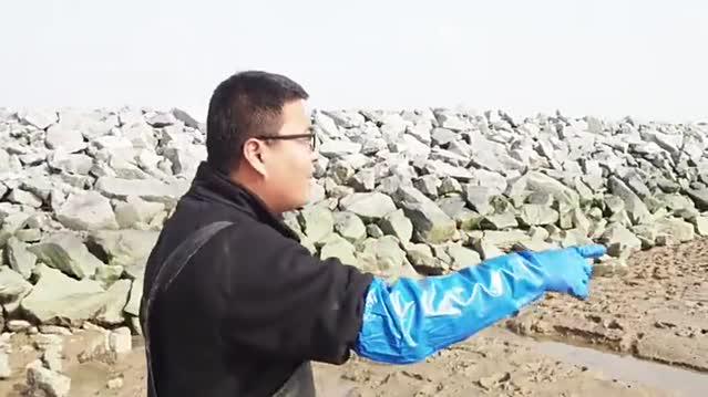 农人川子川子赶海运气好怎样都顺就连螃蟹老弟