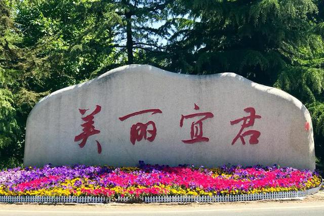 宜君关键词seo专业版