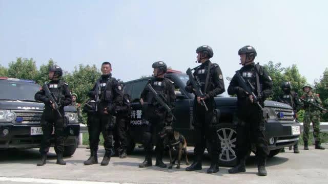 特警队长宣布一项特殊任务,猛虎突击队成员听完后,这表情是亮点