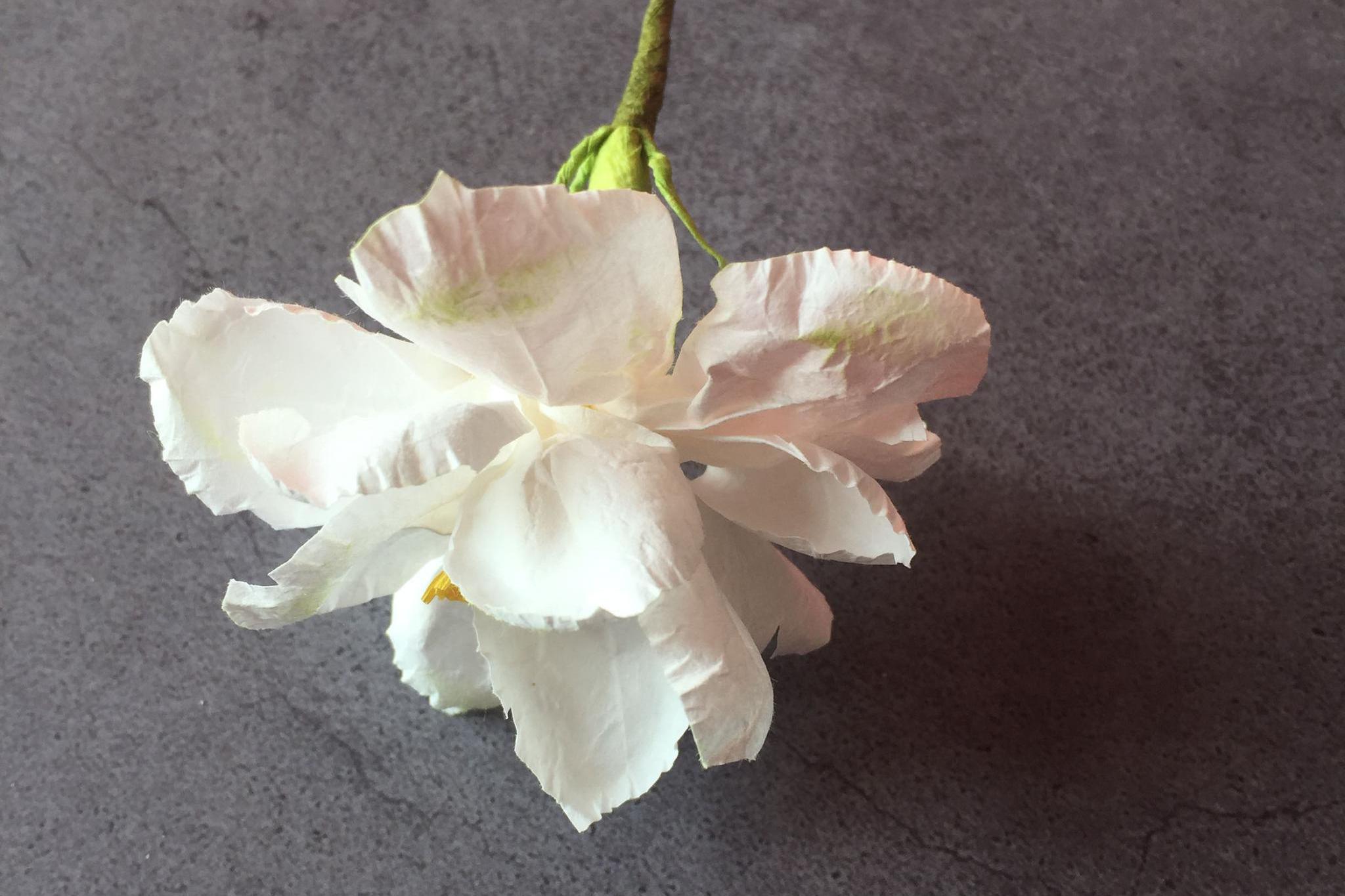 手工栀子花折纸 纸花栀子花制作 子龙原创