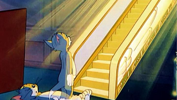 猫和老鼠汤姆猫终于升天了,看到了各种死去猫的魂魄