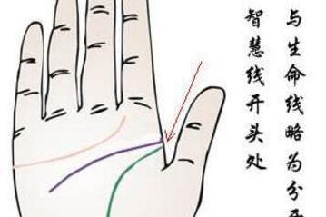 无论男女只要掌纹 此处 断开 运势欠佳 婚烟不幸