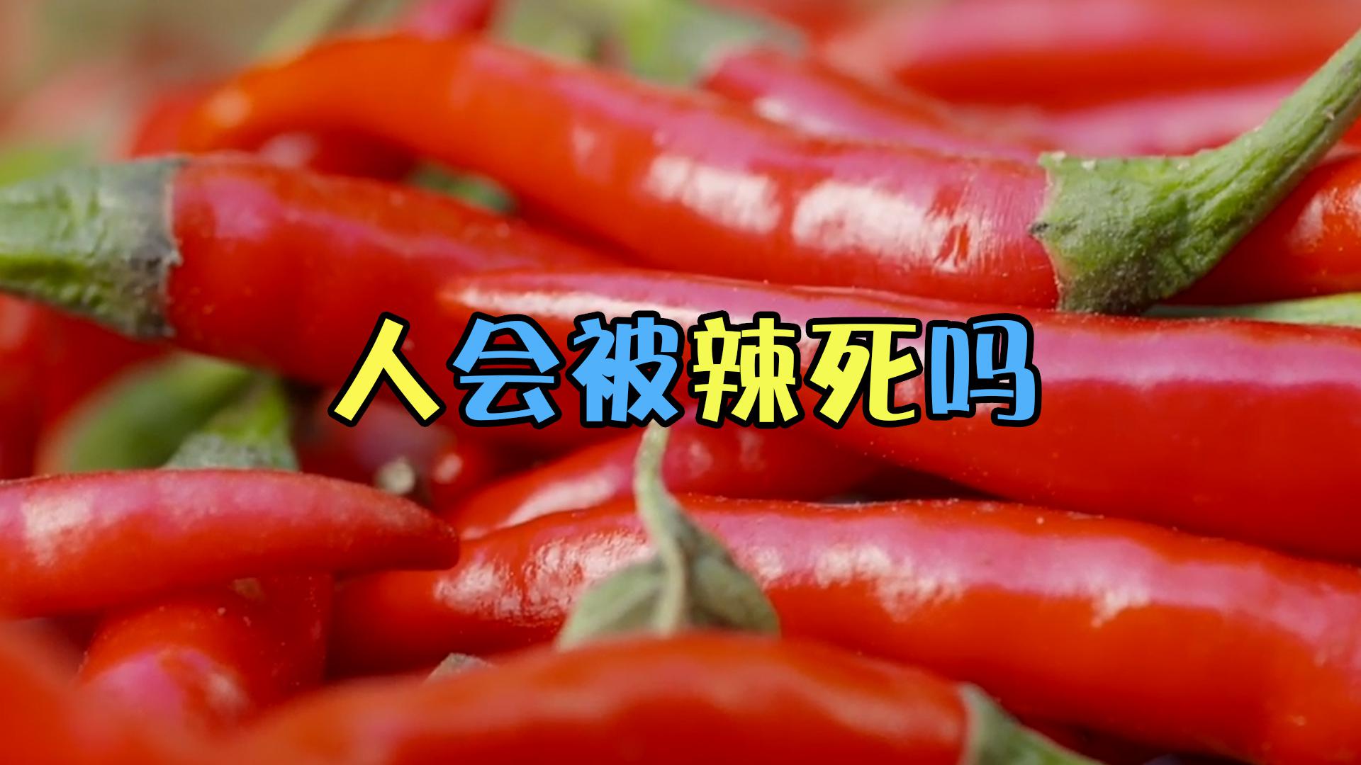 如果辣椒足够辣,那人会被辣死吗?