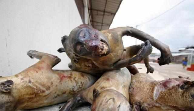 广州人什么都敢吃看非洲人吃的网友我服