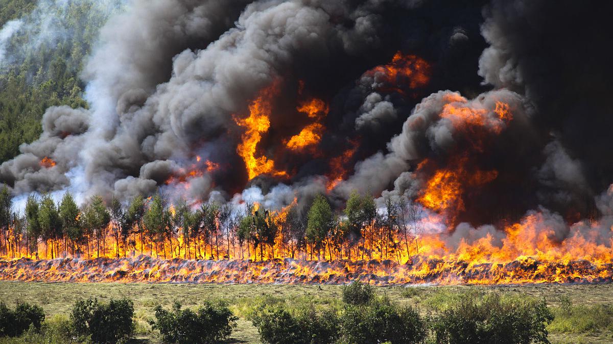 亚马逊森林大火引世界关注,让人担心:会不会把地球氧气烧光?