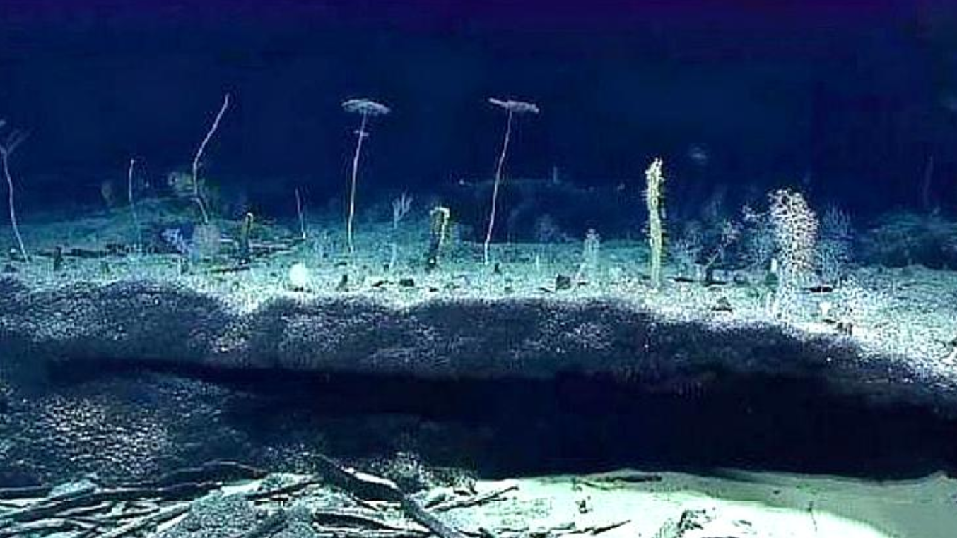 中国潜水艇深入水下3700米,眼前这一景象让人后怕,这还是地球吗