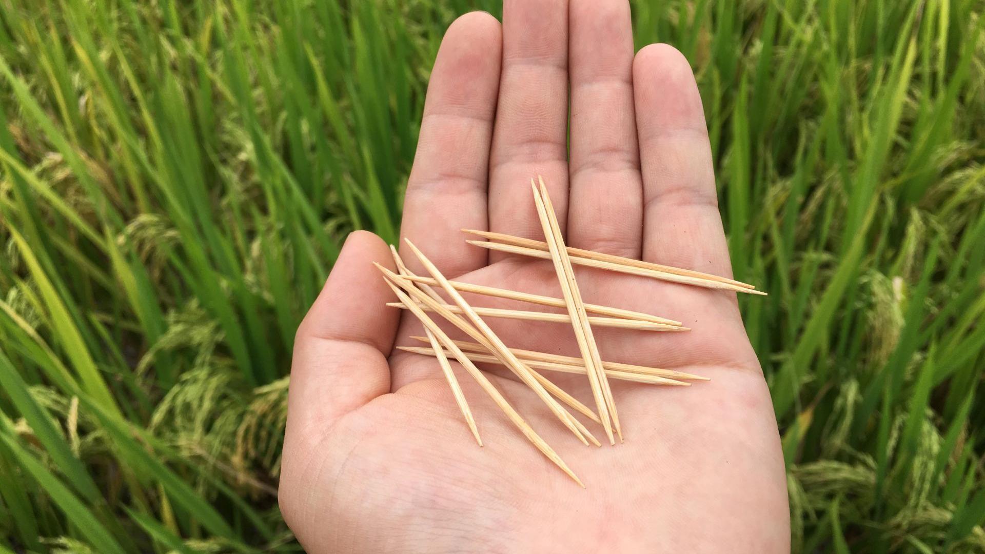 不借助任何东西,如何才能让牙签自动飞起来?方法特简单