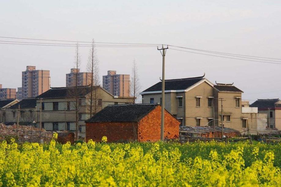为什么农村经济一直超越不了城市，是农村的人不行还是怎么回事？|农村|结婚成本|农村经济_新浪新闻