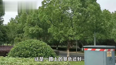 中国衰落最快的城市:曾经比上海还繁荣,如今却