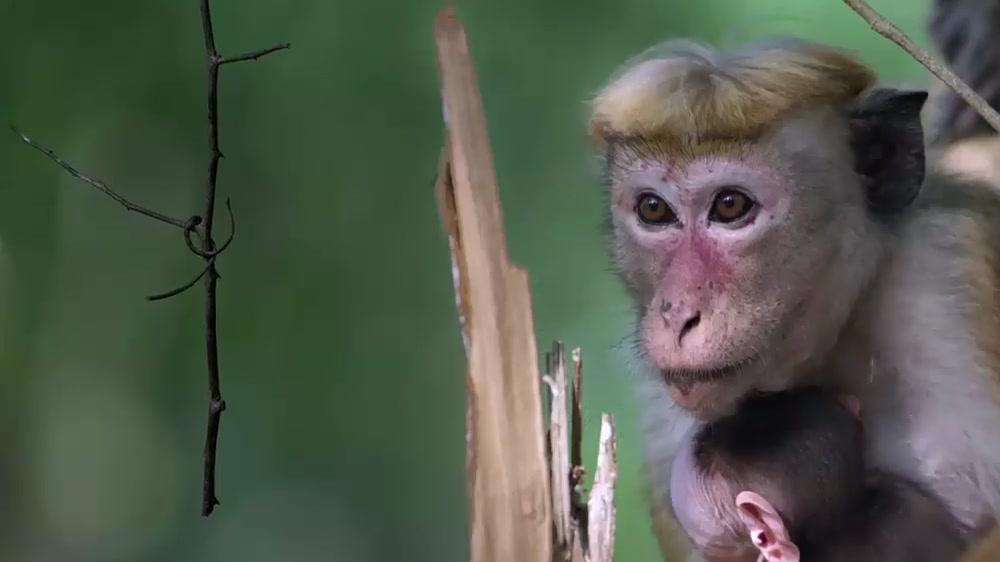 中国队32金领跑奖牌榜:跳水体操无双 划艇链球惊喜 为您推荐: 中美冲