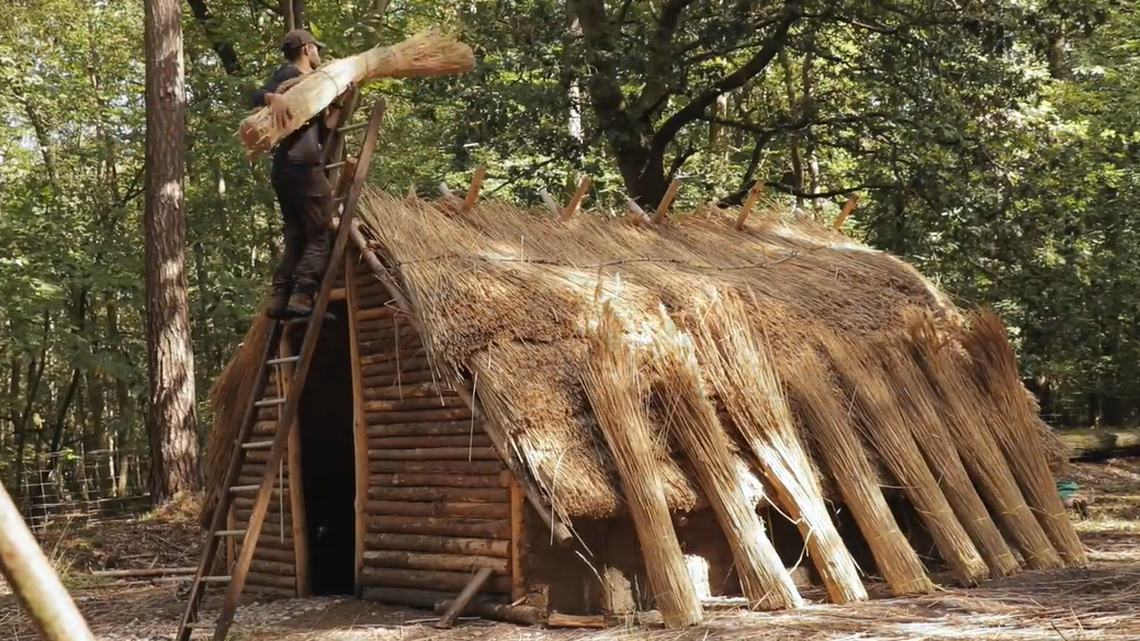 小伙想体验原始生活,用木头和双手,在森林中搭建一座茅草屋!