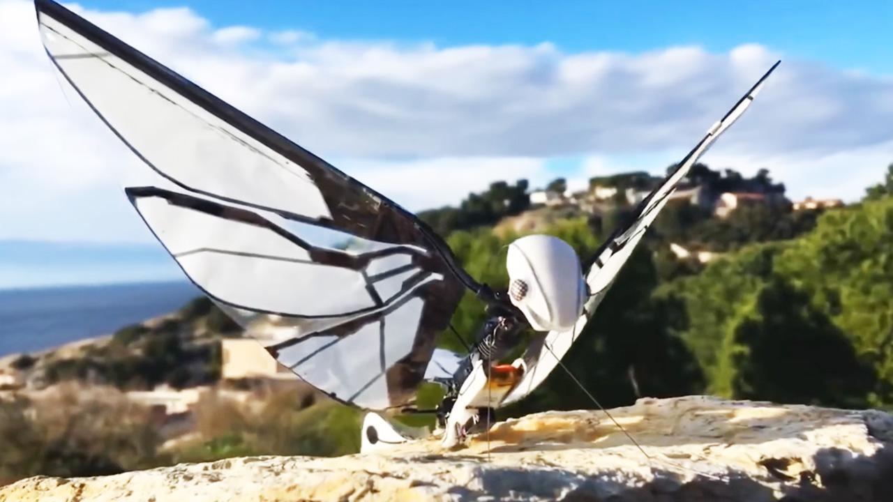 黑科技蝴蝶仿生无人机重量不到10克