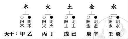 八字基础知识2—天干、地支、五行、阴阳|五行|天干|地支_新浪新闻