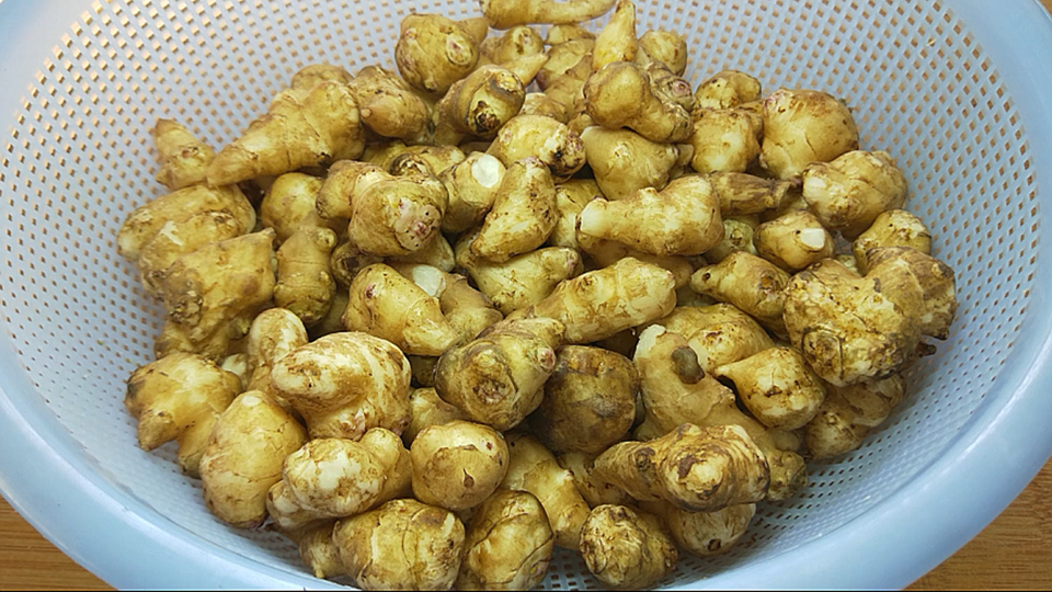 腌制洋姜(鬼子姜)的方法,3个诀窍,开胃下饭,放半年都不会坏