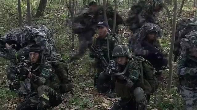 特种兵:特种兵联合特警全军出击,围剿匪徒,不料匪徒已布下埋伏_新浪新闻