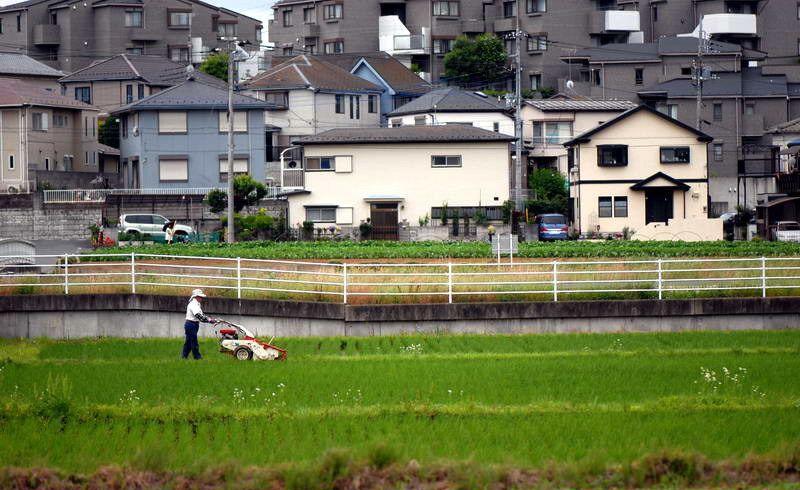 别被骗了, 这才是日本农村的真实生活状态