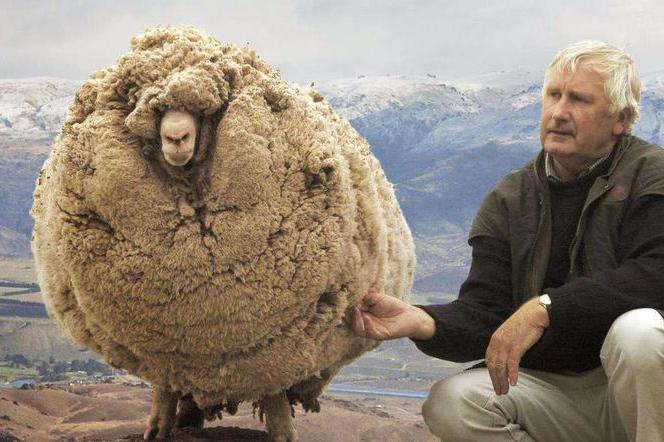 古代四大武将都有哪些 三国演义中武将的官职排名是怎样