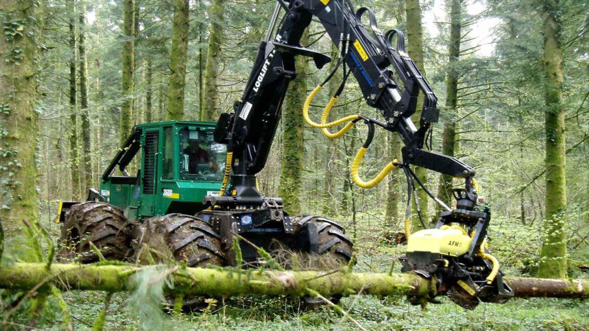 国外最新发明的黑科技伐木机器砍伐一颗树就如拔草一样轻松