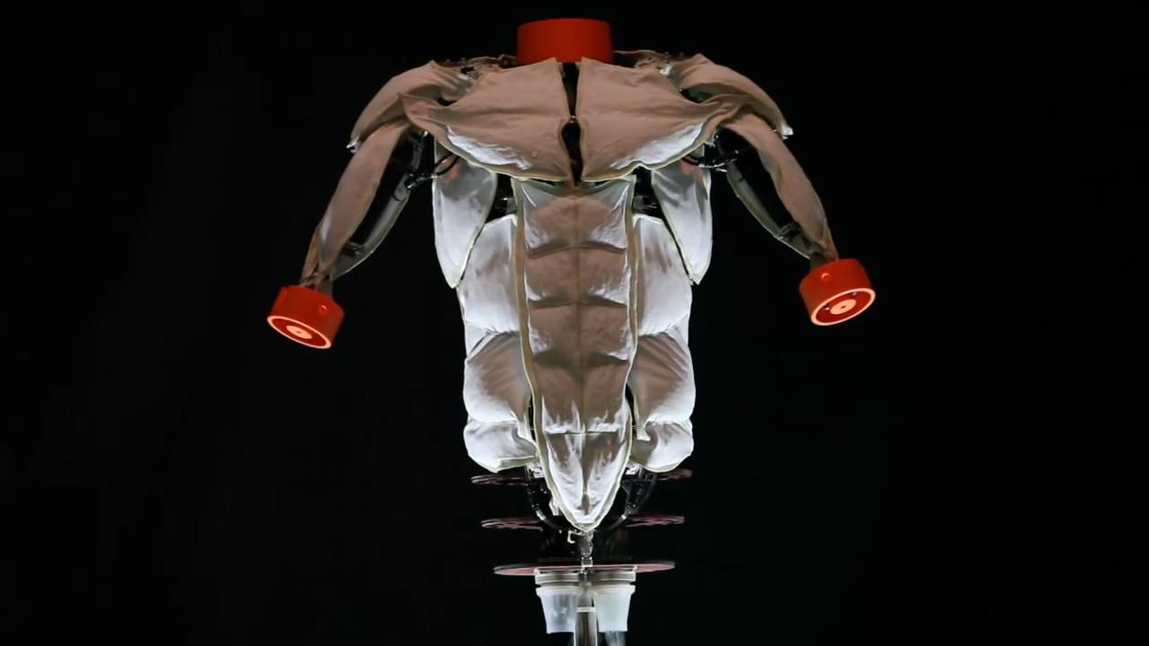 外国发明人造肌肉装置拥有16块肌肉穿上秒变肌肉男