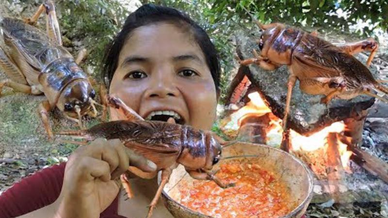 山区妇女在石头上烤蟑螂吃小强真的无辜躺着中枪了